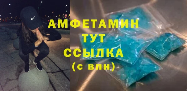 гидра Арсеньев