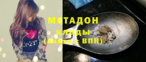 гидра Арсеньев