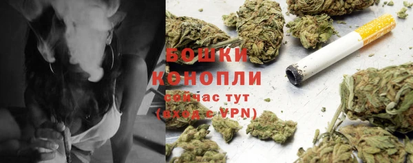 гидра Арсеньев