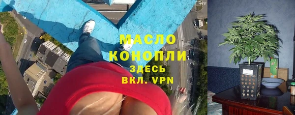 гидра Арсеньев